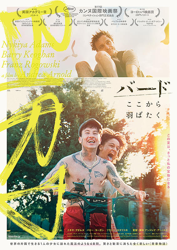 バードここから羽ばたくのポスター